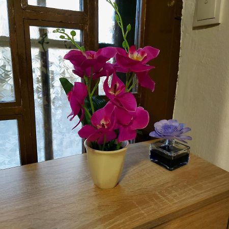 Lovely, Neat And Quite Apartment Dalia, Private Parking Сараево Екстериор снимка